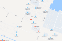 临港区域渤海二十八路和黄河道交口地块电子地图