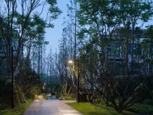 中央公园 龙湖云瑶玉陛陛川(二期二组团)三房108万