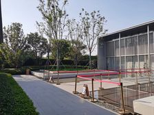 纯洋房社区,物业好,绿化好,楼层好,户型好