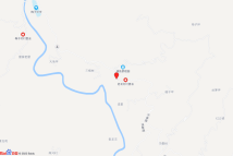 大树镇老龙村电子地图