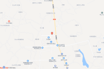 弼时镇王家园路与新塘路交叉口东北角地块电子地图