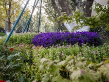 绿城留香园,电梯洋房,采光视野无遮挡