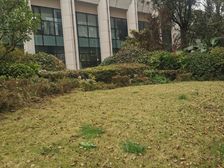 鑫苑璟和名邸3室2厅东南