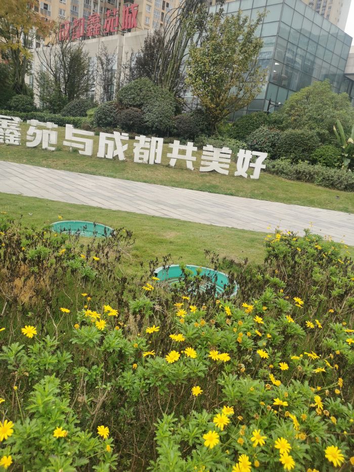 鑫苑御景台写字楼