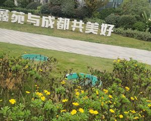 鑫苑璟和名邸4室2厅西北