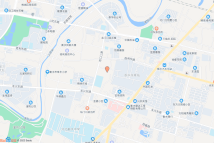 桃城区南门口街东、范疃路南地块电子地图