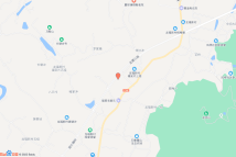 [2022]宁乡市090号电子地图