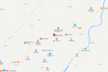 赖村镇圩镇兴康北路B13地块电子地图