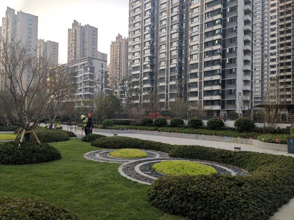保利·海上明悦实景图