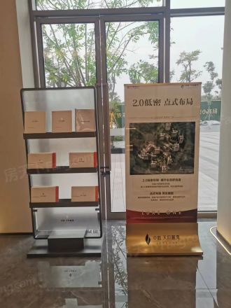 中海天府麓湾实景图