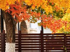 通州其它·鲁能·格拉斯小镇·6室·2厅