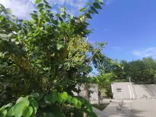 顶加阁楼精装修 带车库 使用面积大 封闭小区