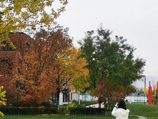 水岸雁栖2室1厅东西