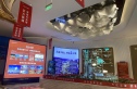 龙湖紫都城实景图