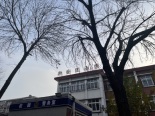 周边小学