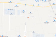 郑政出〔2022〕40号（网）电子地图