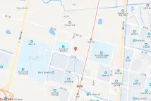 庄只里路以南轩文路以东地块电子地图