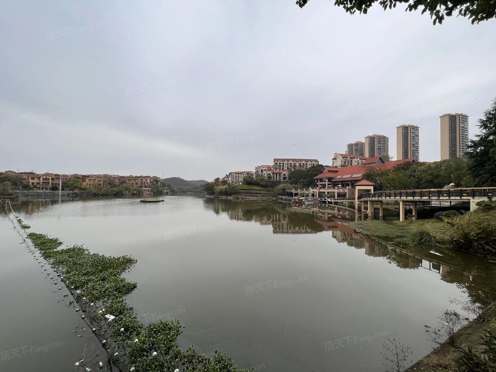 小区相关图