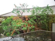 建发天府养云4室2厅南