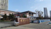 青岛路小学