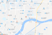 [2022]宁乡市100号电子地图