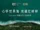 中洲湾·迎海