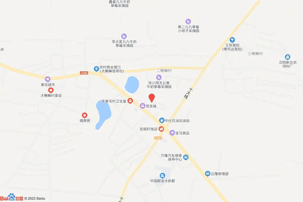 新民市兴隆堡镇2022-054地块交通图