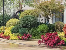 佩玛山丘 1室1厅 南 北