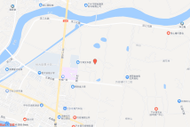 [2022]宁乡市118号电子地图