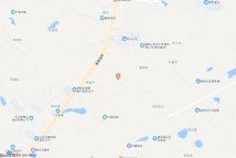 [2022]宁乡市110号电子地图