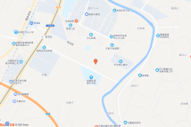 新津区花源街道杨柳村一组、四组、五组电子地图