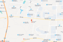 [2022]浏阳市133号电子地图