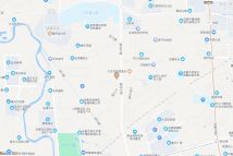 武侯区金花桥街道九龙社区2、3组电子地图