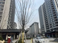 城投绿城·湖畔雲庐 4室2厅 南 北