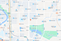 高新区中和街道观东社区8组(原观东村11社)电子地图
