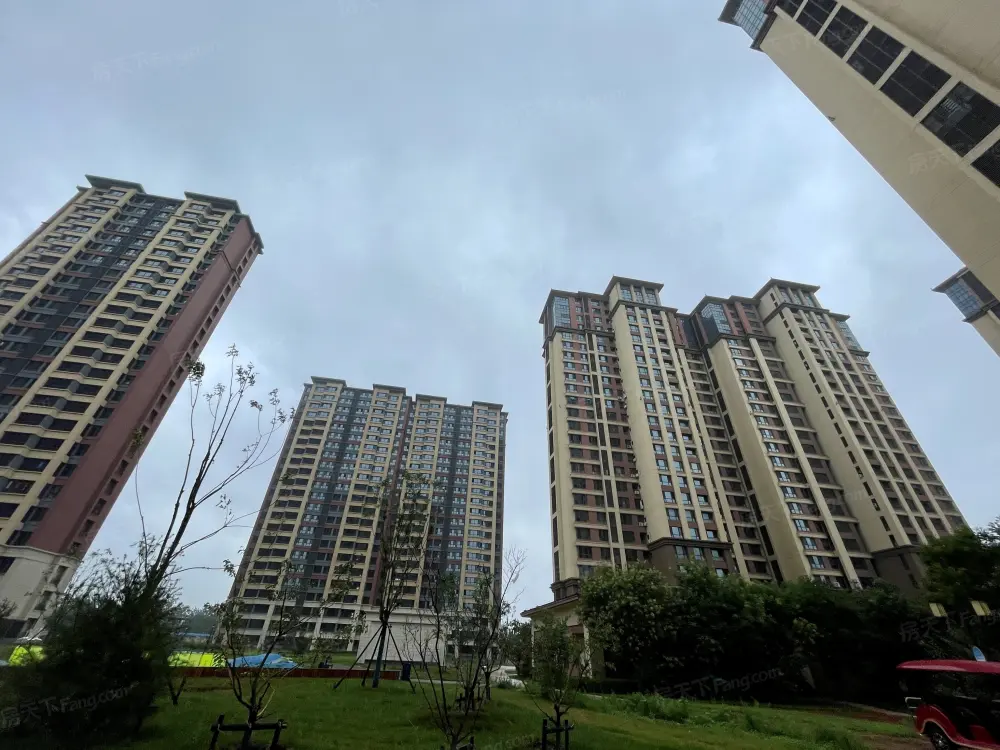 实景图
