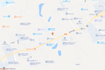 白花镇太阳村地段电子地图