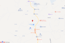 大观镇组团CJJD分区1/01地块电子地图