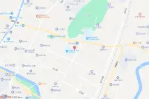 龙山街道2022拍-25号电子地图