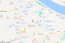 涪陵区崇义街道红光居委一组C2-03/02电子地图