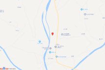 兴安县龙源村旁电子地图