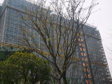 建发观唐映月北区 4室2厅 南