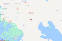 庐山西海巾口乡西下村十组南侧滨湖地块四电子地图
