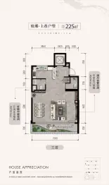 京能·丽墅3室2厅1厨3卫建面225.0㎡