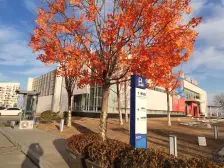 招商马尔贝拉,精装修,采光好,在家就能看海!