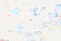 利一路以北，津八路以西电子地图