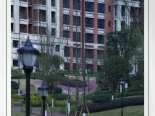 阳光城·哈罗小镇3室2厅1卫北朝向65.00万元/套出售