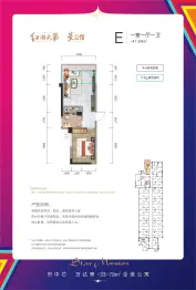 红湘大第1室1厅1卫建面41.94㎡