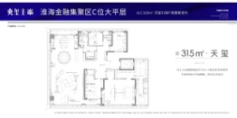 招商·央玺4室3厅1厨2卫建面315.00㎡