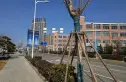 观海听澜实景图